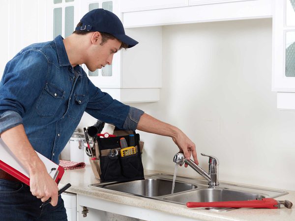 Services We Provide